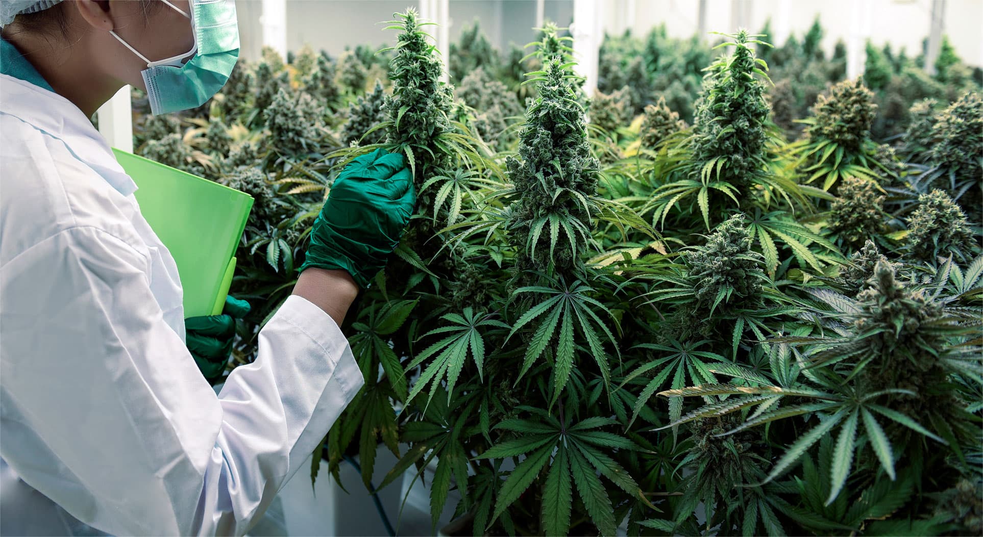 Northwoods testing and analytics header